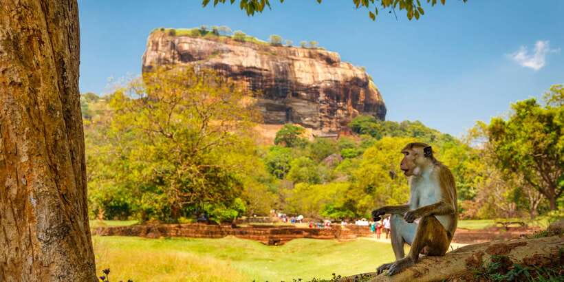 From Colombo: Sigiriya and Dambulla Day Trip with Safari - How hard is the day?