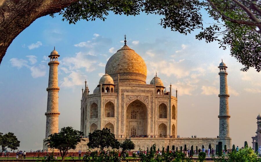 From Delhi: 5-Day Tiger Safari & Golden Triangle Tour - At a glance