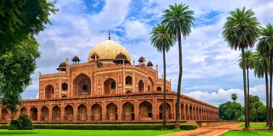 From Delhi: 5-Day Tiger Safari & Golden Triangle Tour - Who should book this tour?