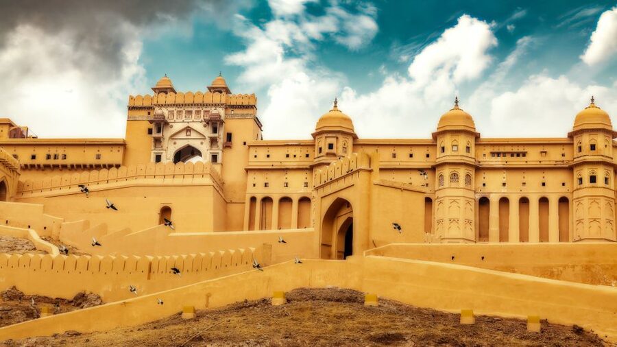 From Delhi: 5-Day Tiger Safari & Golden Triangle Tour - Drivers, guides and comfort on the road