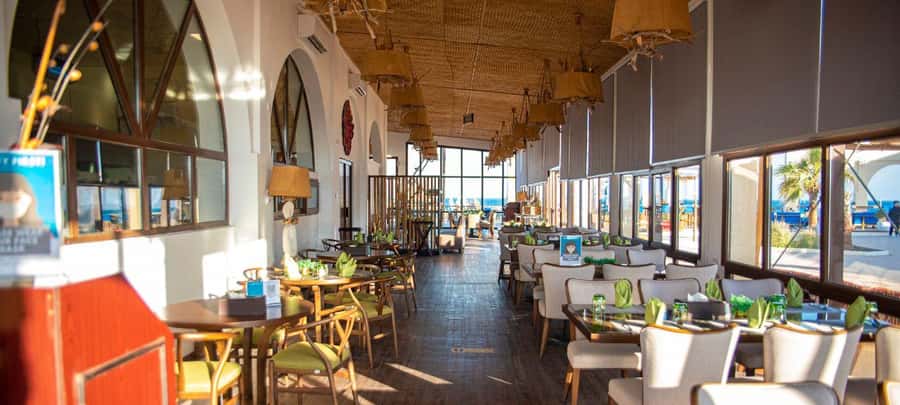 From Doha: 8-hour Safari Tour with Desert Beach Experience - What the guides add to the day