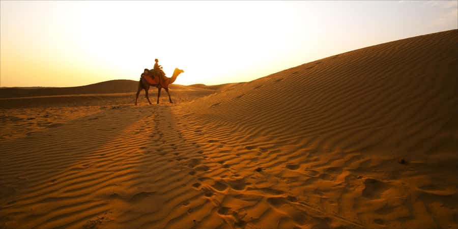 From Doha: 8-hour Safari Tour with Desert Beach Experience - Leaving Doha in a private 4x4