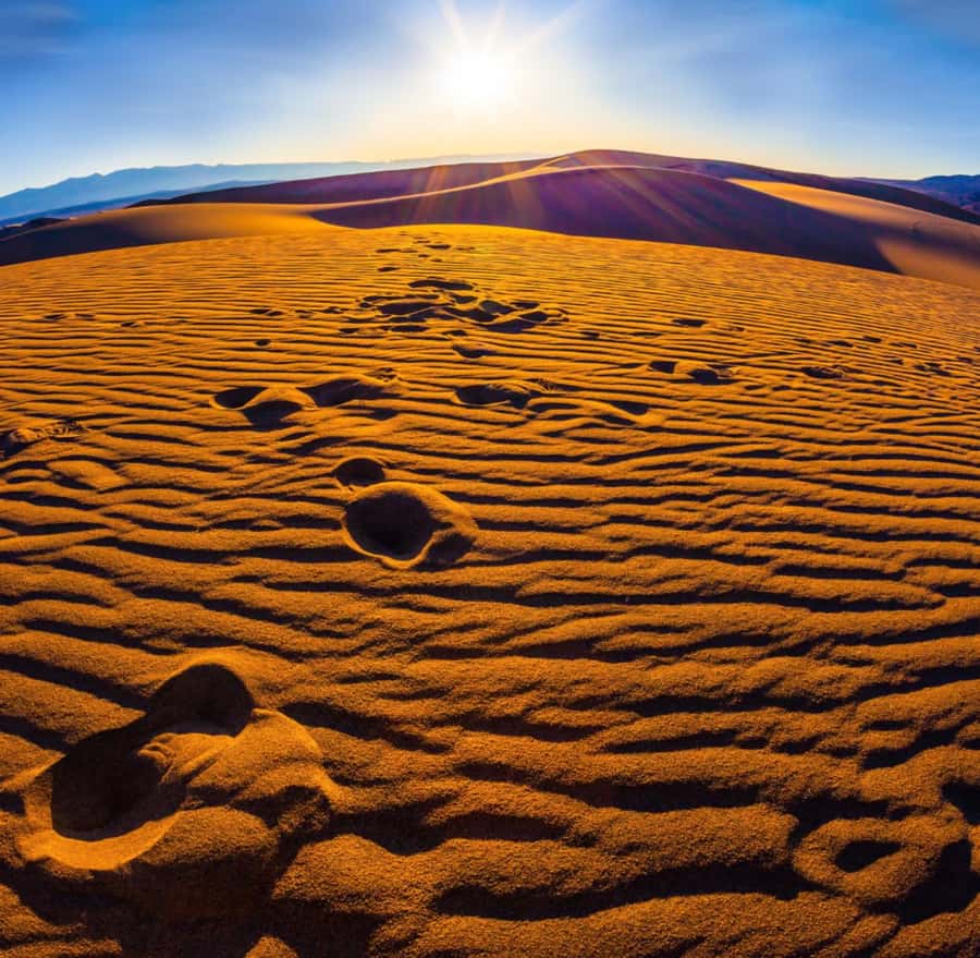 From Doha: Sunrise or Sunset Safari with Sand Boarding - Key points to know before you book