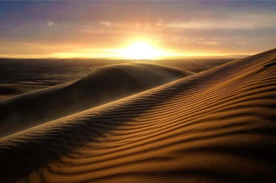 From Doha: Sunrise or Sunset Safari with Sand Boarding - Dune bashing with room to choose your pace