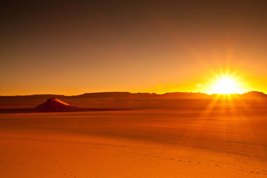 From Doha: Sunrise or Sunset Safari with Sand Boarding - What the guide adds to the day