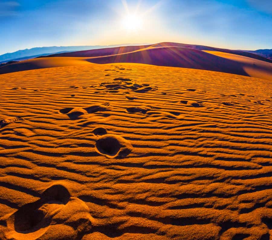 From Doha: Sunrise or Sunset Safari with Sand Boarding - Who will enjoy this safari most?
