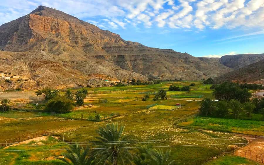 From Dubai: Musandam Khasab Tour with Boat Trip and Safari - Jebel Harim and the mountain safari