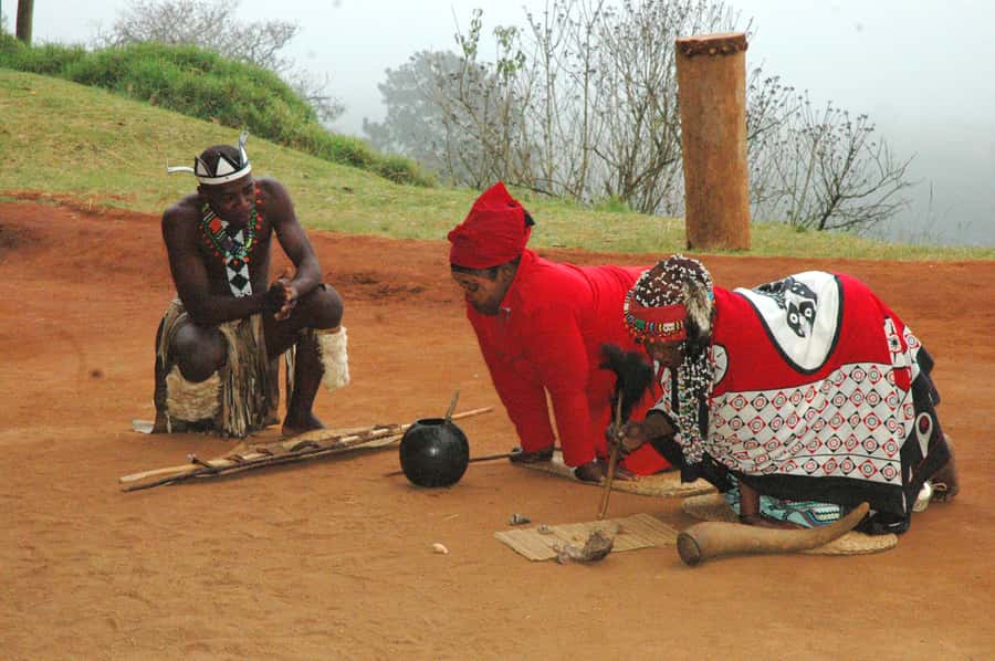 From Durban: Safari & PheZulu Village Day Tour - Is the $242 price fair?
