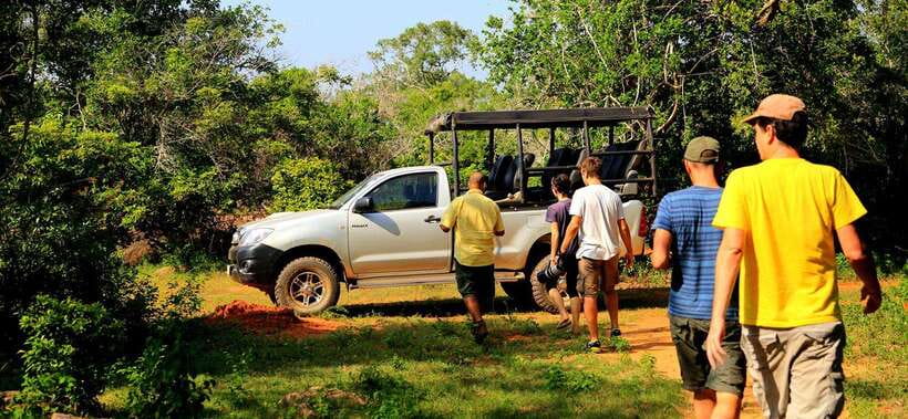 From Ella: Udawalawa Safari and Tangalle/Hiriketiya Transfer - Key points to know before booking