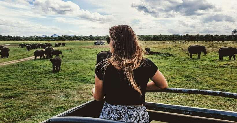 From Ella: Udawalawa Safari and Tangalle/Hiriketiya Transfer - Is $48 good value?