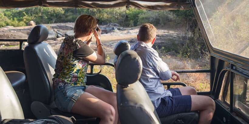 From Ella: Yala National Park Jeep Safari Tour - Why Birdwatchers Should Bring Patience