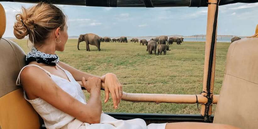 From Ella: Yala National Park Safari Tour in a 4x4 - What makes this Yala safari worth considering