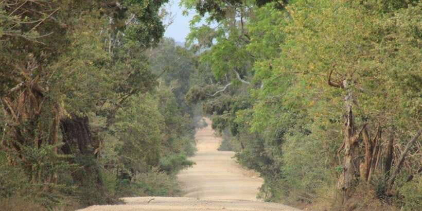 From: Ella - YALA Safari - Drop off: Arugam Bay / Arugambay - The transfer to Arugam Bay