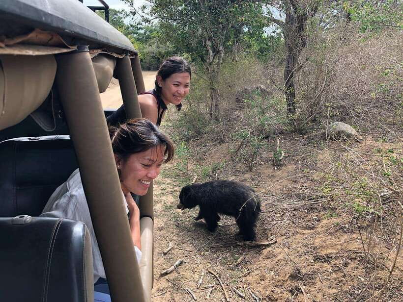 From Ella: Yala Safari Tour with Drop at Tangalle/Hiriketiya - The road from Ella and the importance of the driver