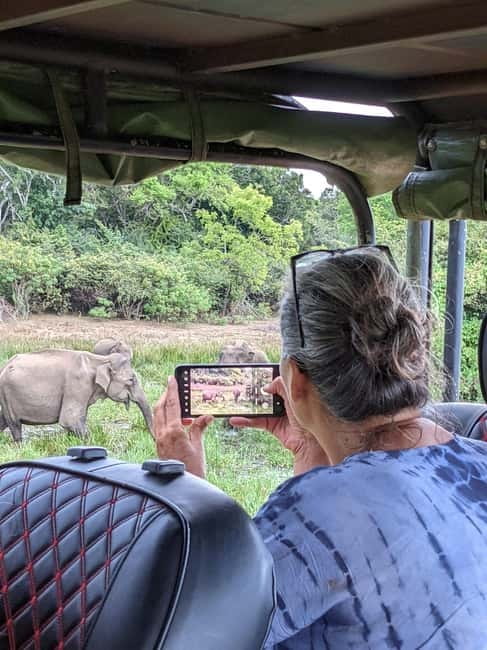 From Ella: Yala Safari & Transfer to Tangalle/Mirissa/Galle - The leopard question: luck, timing, and patience