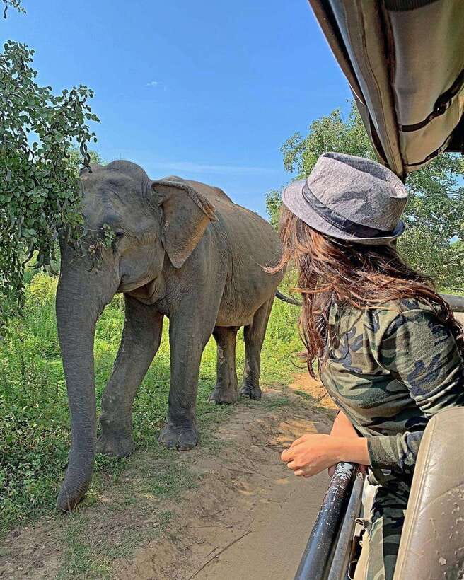From Ella: Yala Safari with Tangalle/Mirissa/Galle Drop-off - Entering Yala National Park by 4x4