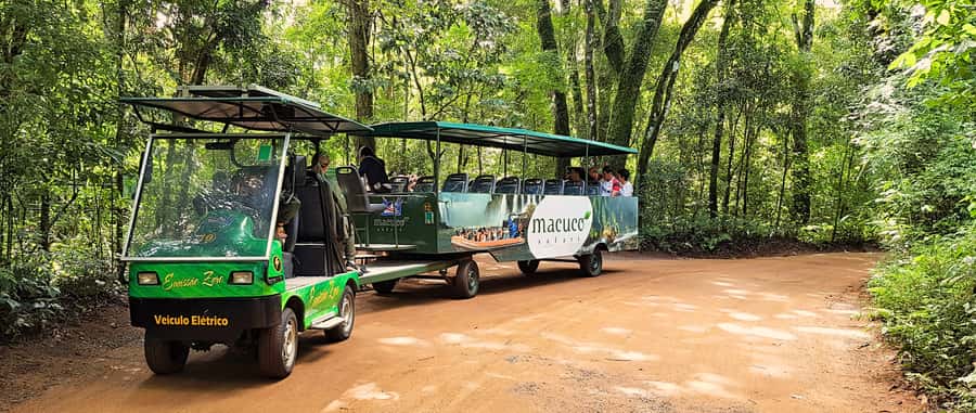From Foz do Iguazu: Brazil Iguazu Falls & Macuco Safari Boat - Guide service: helpful coordination, but ask questions