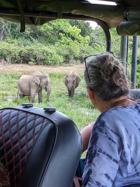 From Galle/ Mirissa/ Tangalle : Udawalawa Safari & Drop Ella - Should you book this Udawalawe to Ella trip?
