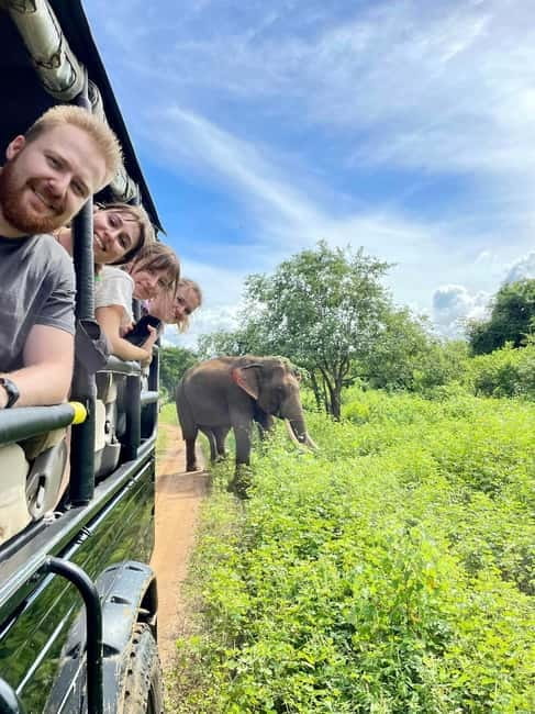From Galle/ Mirissa/ Tangalle : Udawalawa Safari & Drop Ella - Pickup towns and the first road journey