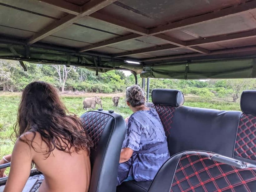 From Galle/ Mirissa/ Tangalle : Udawalawa Safari & Drop Ella - Timing, comfort, and what to pack
