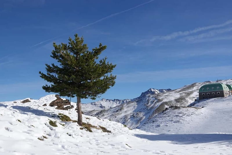 From Granada: Sierra Nevada Safari up to 2500 meters high - Who will get the most from this tour