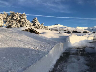 From Granada: Sierra Nevada Safari up to 2500 meters high