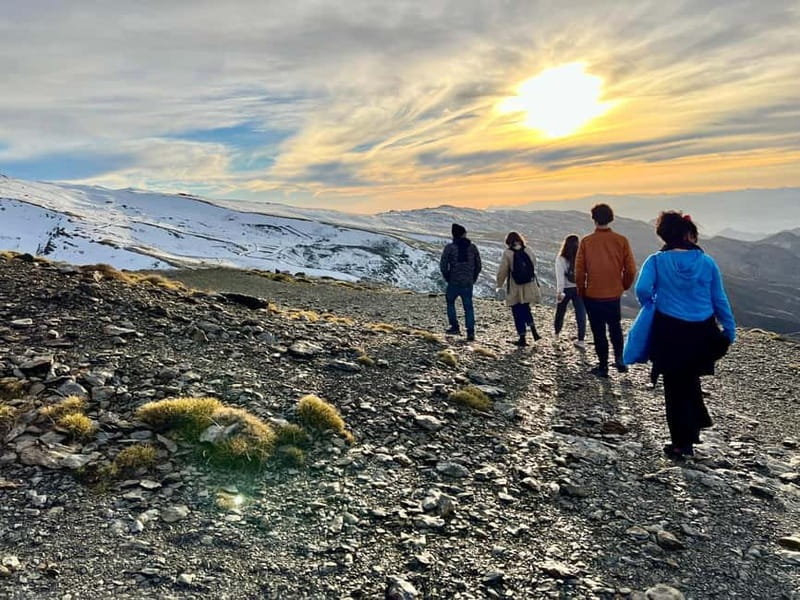 From Granada: Sierra Nevada Safari up to 2500 meters high - How the seasons change the experience