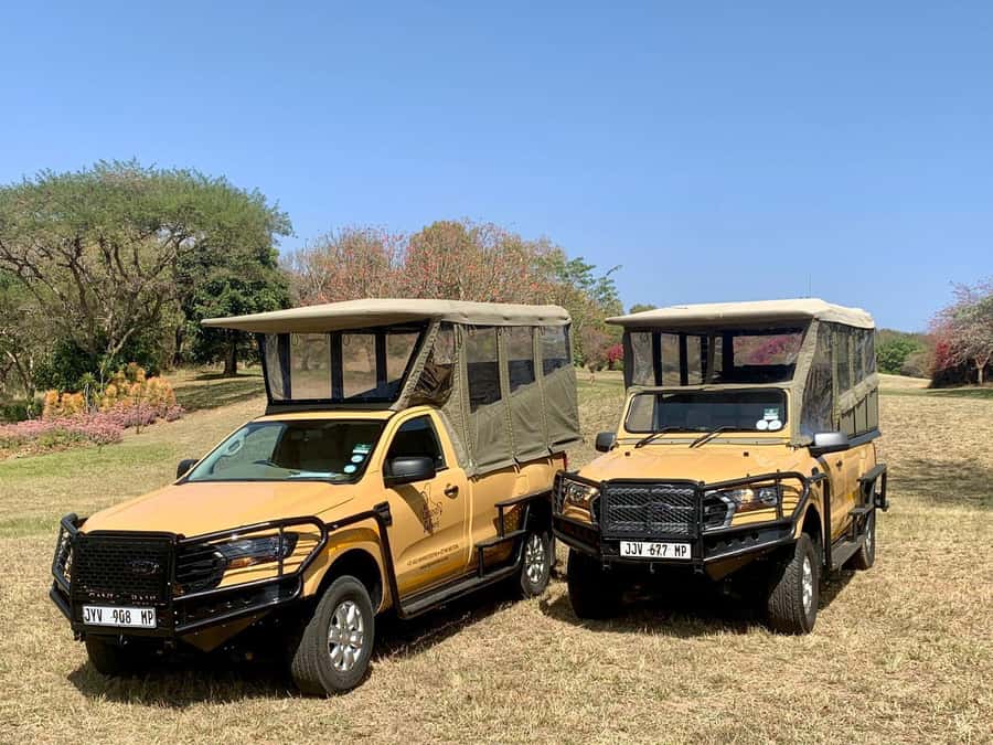 From Hazyview: Kruger National Park Full-Day Safari - Key points to know before booking