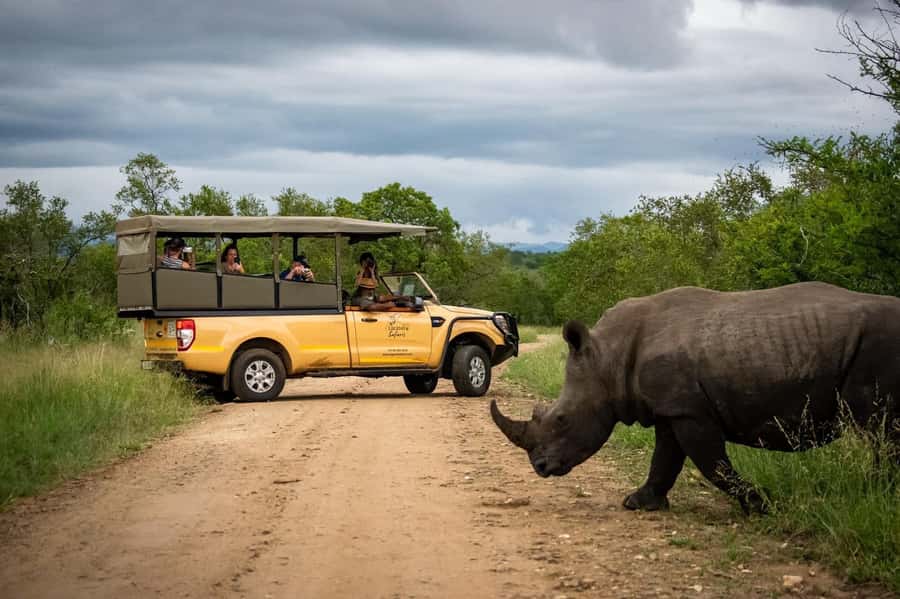 From Hazyview: Kruger National Park Full-Day Safari - Why the early start matters in Kruger
