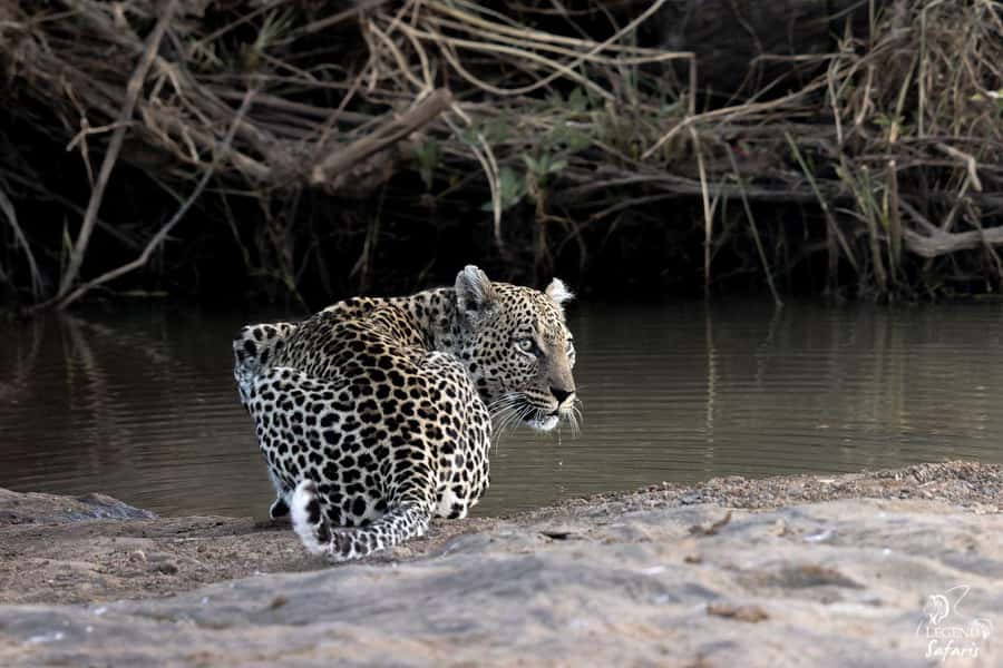 From Hazyview: Kruger National Park Full-Day Safari - Entering through Phabeni Gate at sunrise