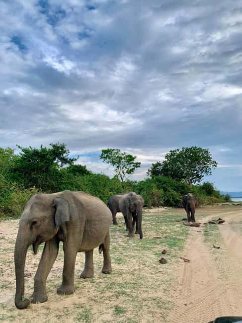 From Hikkaduwa/Mirissa/Galle/Tangalle - Yala Leopard Safari - Changing from car to 4x4 at Yala