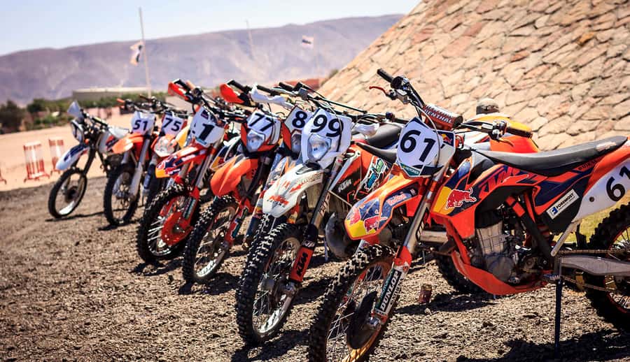 From Hurghada: El Gouna Quad and MX Bike Safari Tour - Should you book this El Gouna bike safari?