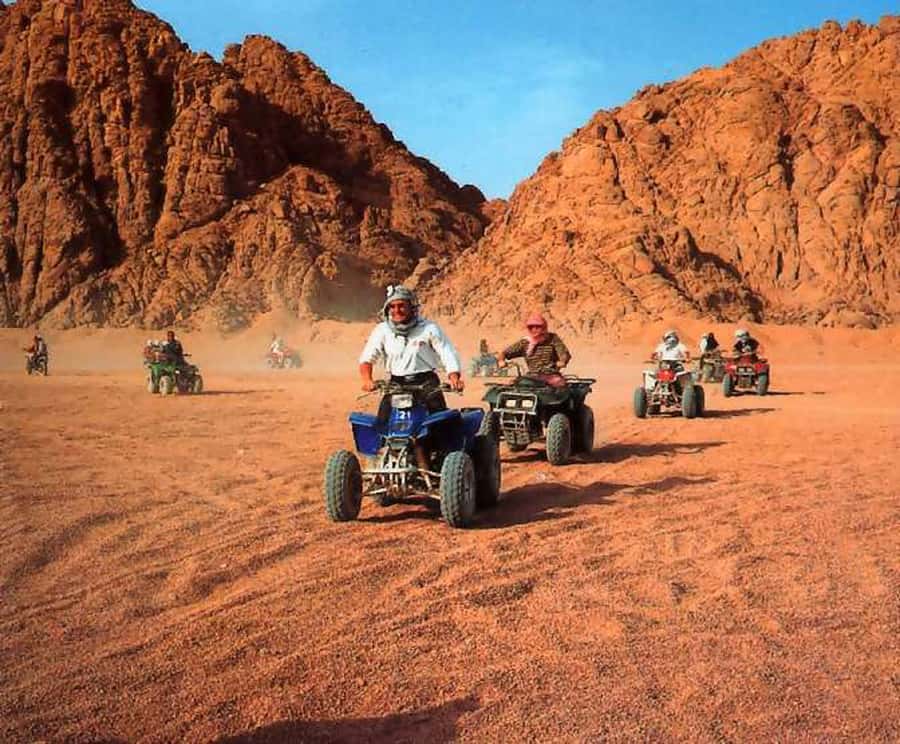 From Hurghada: El Gouna Quad and MX Bike Safari Tour - Is $134 good value?