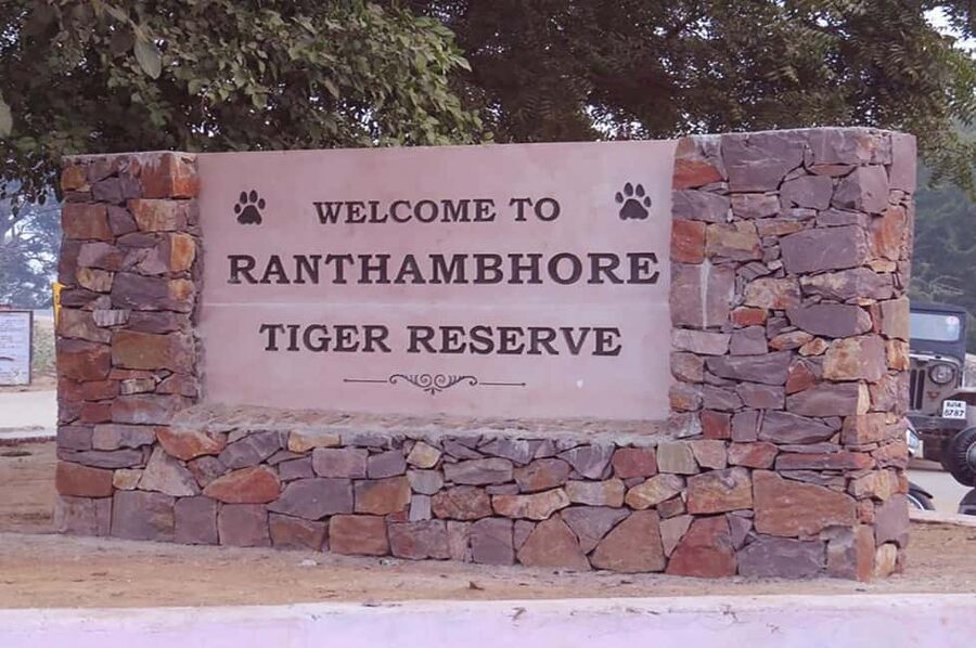 From Jaipur: Praivte Ranthambore Tour By Jeep Canter Safari - The afternoon safari and its changing hours