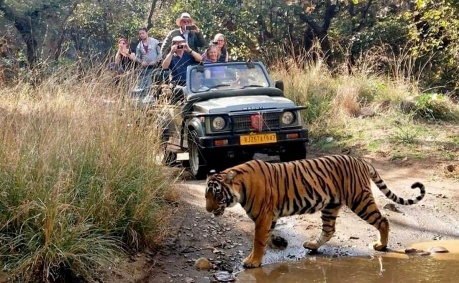 From Jaipur: Praivte Ranthambore Tour By Jeep Canter Safari - Rural Women Craft and the value of a local stop