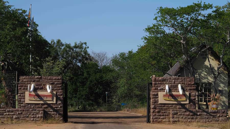 From Johannesburg: 2-Day Safari into Kruger National Park - Who will get the most from this safari