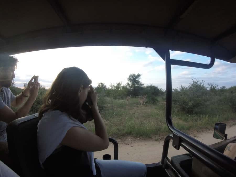From Johannesburg: 3-Day Budget Tent Kruger Park Safari - What this three-day safari is really like