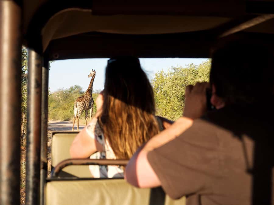 From Johannesburg: 3-Day Budget Tent Kruger Park Safari - Bush barbecue and a night at Campfire Academy
