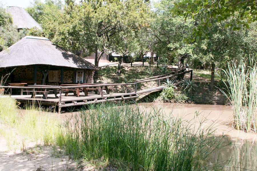 From Johannesburg: 3-Day Budget Tent Kruger Park Safari - Day two: breakfast, Orpen Gate, and a full day in Kruger