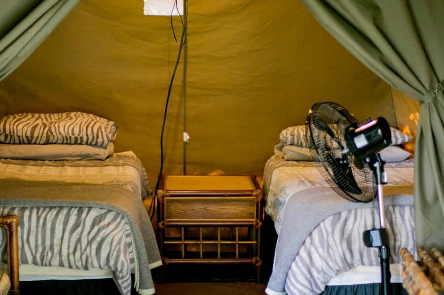 From Johannesburg: 3-Day Budget Tent Kruger Park Safari - What the $653 price includes