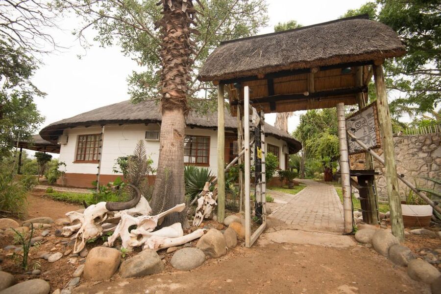 From Johannesburg: 6-Day Classic Kruger National Park Safari - Day 3: Full-day Kruger game drive through open plains