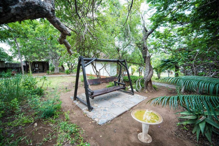 From Johannesburg: 6-Day Classic Kruger National Park Safari - Day 6: Sunrise, the Panorama Route, and Johannesburg