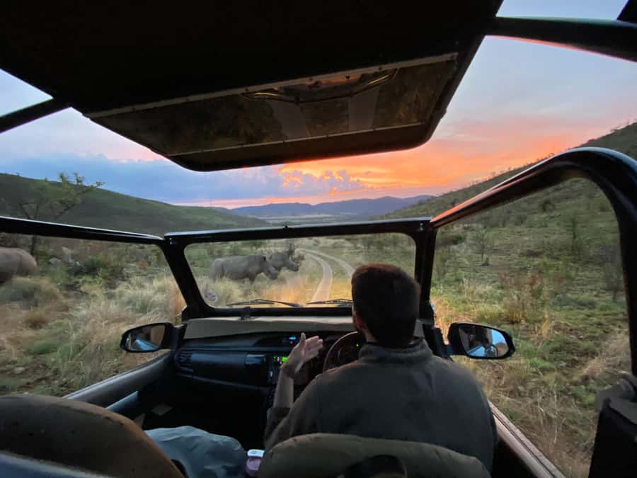 From Johannesburg: Pilanesberg Nature Reserve Game Safari - Key Points Before You Book