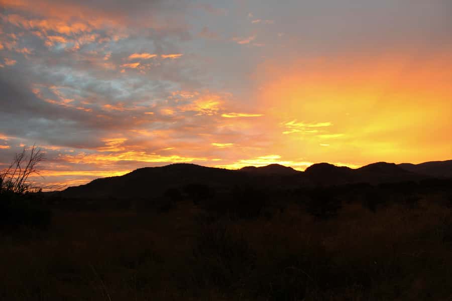 From Johannesburg: Pilanesberg Nature Reserve Game Safari - Water Holes, Birds, and the Lunch Break