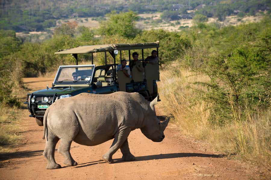 From Johannesburg: Pilanesberg Nature Reserve Game Safari - Early Pickup and the Long Road From Johannesburg
