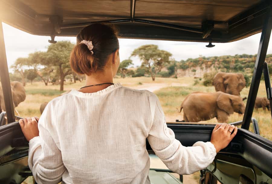 From Johannesburg: Pilanesberg Wildlife Safari - Lunch and the second two-hour drive