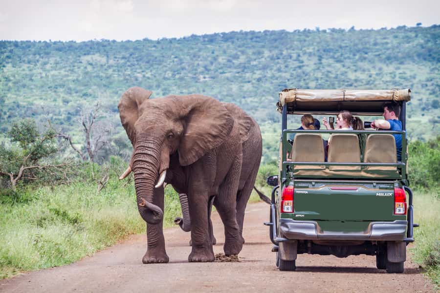 From Johannesburg: Pilanesberg Wildlife Safari - The Johannesburg to Pilanesberg road transfer