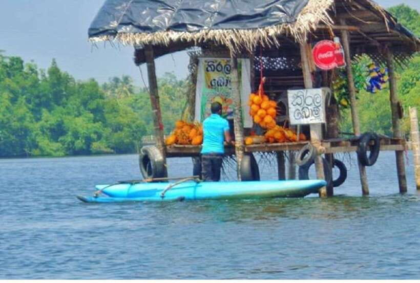 From Kalutara: Exclusive Madu River Safari & Turtle Hatchery - Madu Ganga, Where the River Meets the Sea