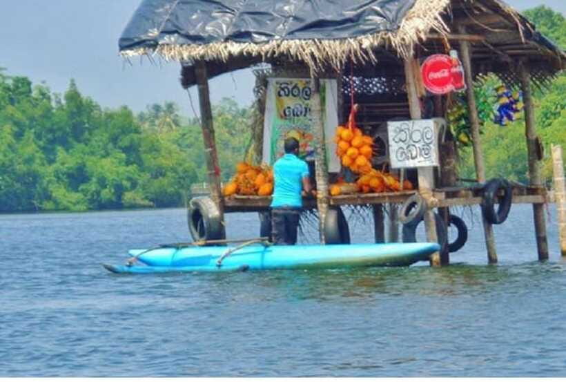 From Kalutara: Exclusive Madu River Safari & Turtle Hatchery - FAQ