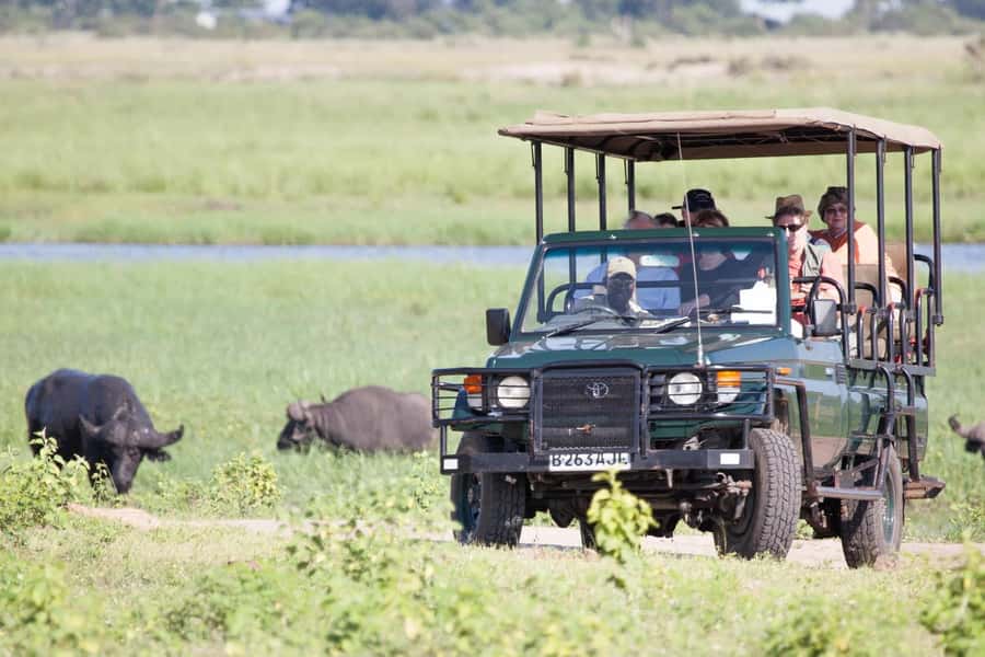 From Kasane: Chobe National Park Full Day Wildlife Safari - Who will get the most from this day